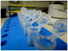 Eppendorf tubes in a lab. Photo: RajivShah/Flickr